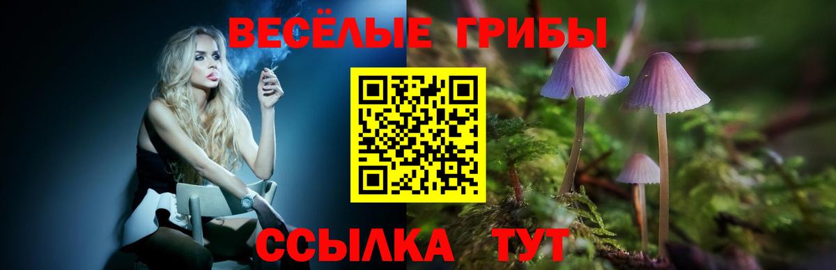 Галлюциногенные грибы ЛСД Курчалой